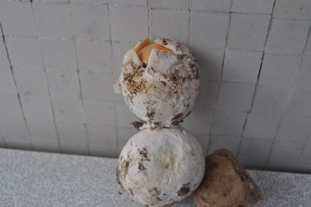 Saldi di fine estate....